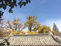 -青岛崂山太清宫