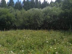 -塞罕坝国家级自然保护区