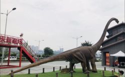 -恐龙探索乐园(磁器口店)