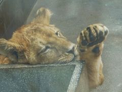 -西安秦岭野生动物园