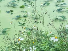 -古镇榨粉店(和平三街店)