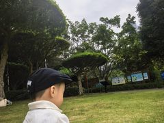 -南宁南湖公园
