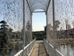 -迪茵湖田家舍生态农场
