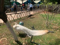 -昆明动物园