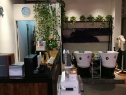 -涩谷イメジSalon烫染専門店