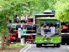 -合肥滨湖国家森林公园