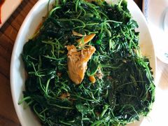 -东吴面馆(十全街店)