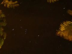 -西沃古尔·拉姆古兰爵士国际机场