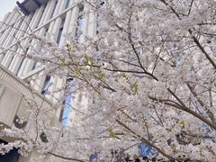 -新虹桥中心大厦