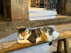 -吴财记面家(大同路店)