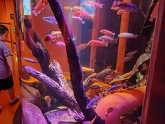 -沈阳海洋探索中心