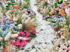 -洛阳白云山景区