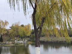 -武汉园博园(武汉自然博物馆)
