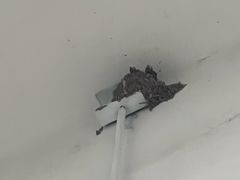 -迪卡侬(土桥店)