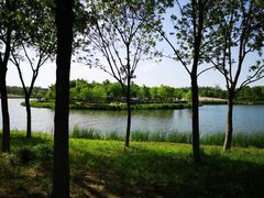 -东郊湿地公园