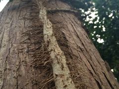 IMG_4770-上海怡沁园度假酒店