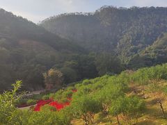 -广州市石门国家森林公园