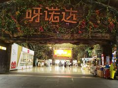 -呀诺达热带雨林