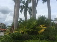 -华远汤泉