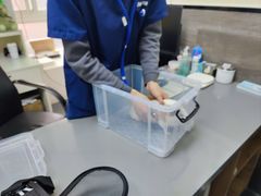 -爱侣宠医·鹦鹉专科·小型哺乳类·异宠专科(灵石路店)