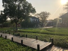 -田园东方蜜桃村的田野营地