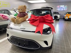 -上海浦东smart汽车全功能店(金桥店)