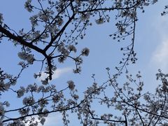 -苏州上方山国家森林公园