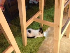 IMG_4354-MIKAKU(万达广场上海宝山店)