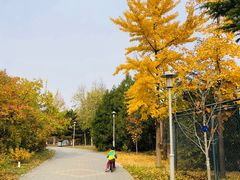 -望湖公园