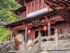 -正佳雨林生态植物园