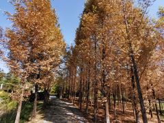 -福州大学(旗山校区)