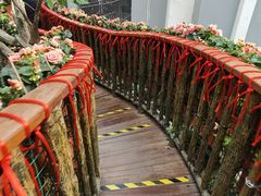 -正佳雨林生态植物园