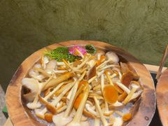 -季季山·云南野生菌火锅(上海首店)