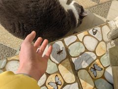 -云南滇池花园国际大酒店温泉