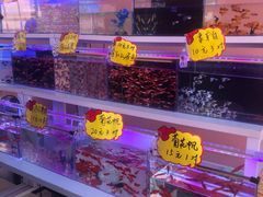-中环花鸟鱼虫市场