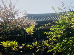 -西安青龙寺遗址景区