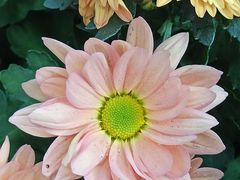 -共青国家森林公园-南大门停车场