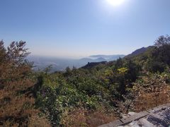 -阳台山自然风景区