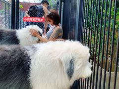 -TrueLove @ Neverland (Husky Cafe)