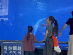 -泉城欧乐堡海洋极地世界