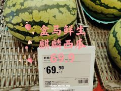 -盒马X会员店(王府井奥莱UP TOWN店)