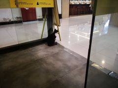 店内猫咪-沫汐披萨(白象街店)