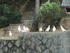 -翠屏湖景区