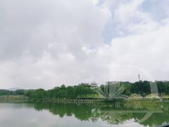 -东莞植物园
