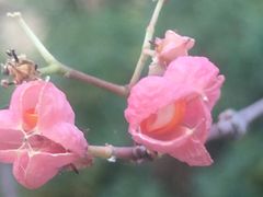 -北京张裕爱斐堡酒庄