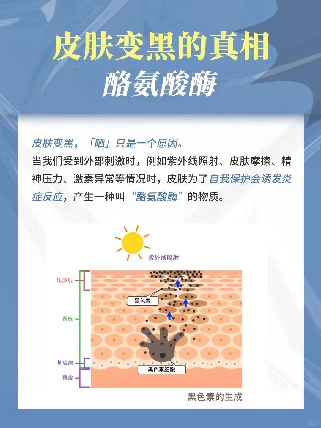 🌟一,皮肤变黑的真相