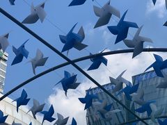 -上海海洋水族馆