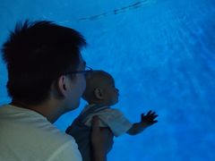 -芜湖新华联大白鲸海洋公园