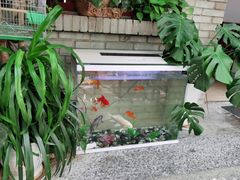 -阿鹏故事云南野生菌火锅(人民路店)