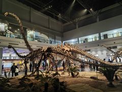 -自贡恐龙博物馆